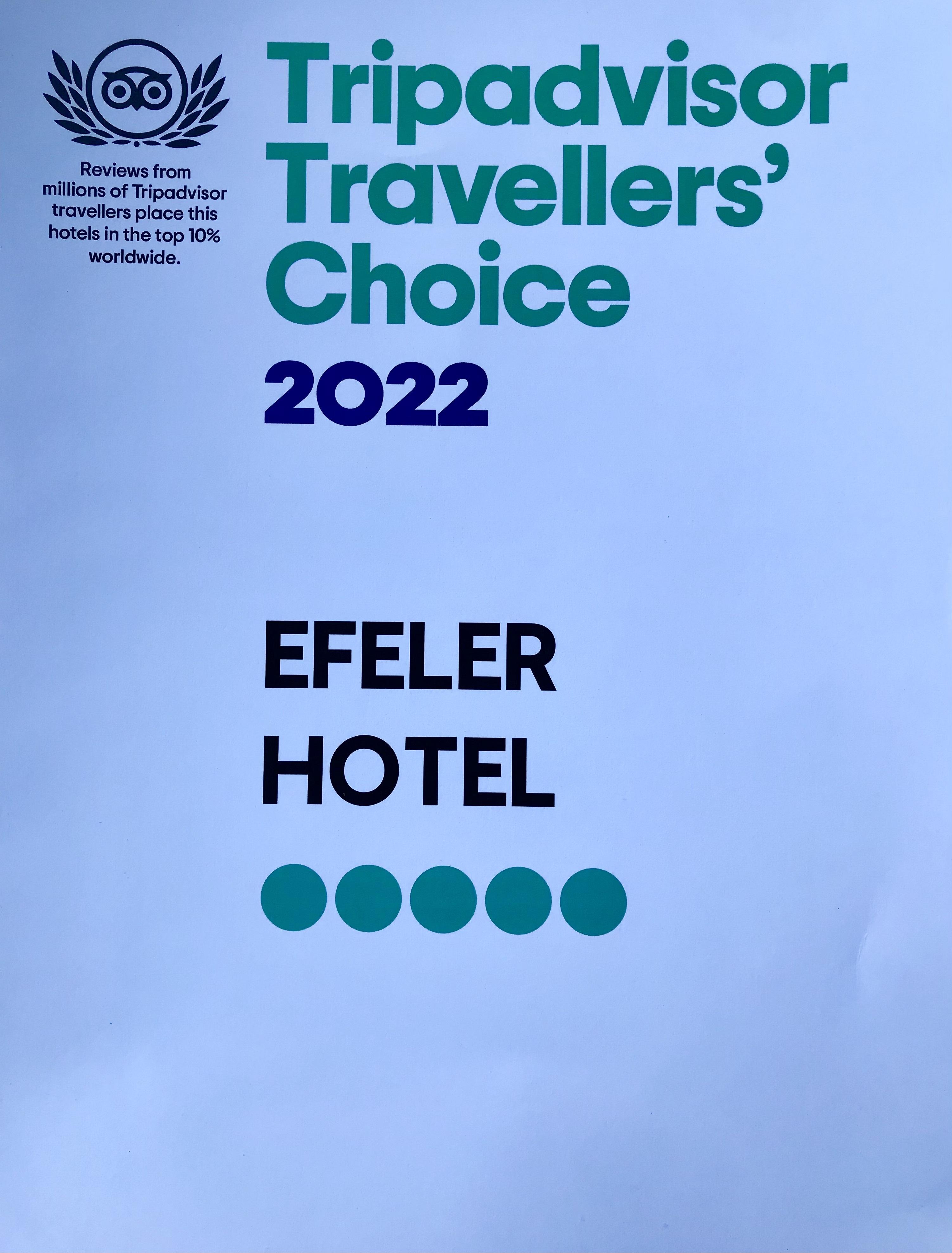Efeler Hotel Айдын Экстерьер фото